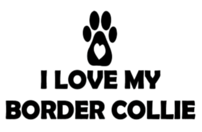 I Love My Border Collie Decal